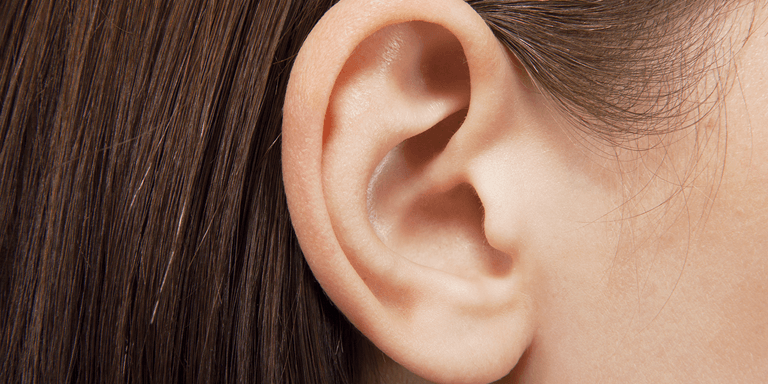 Ear_768x384